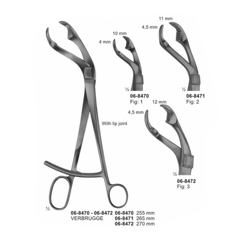 Verbrugge Surgical Bone Holding Forceps