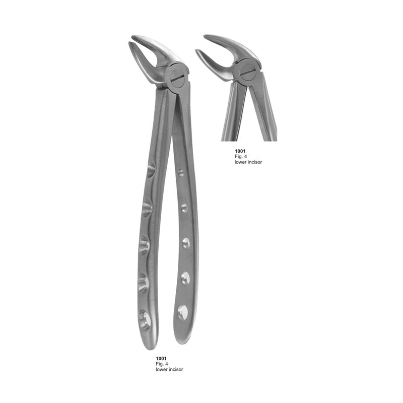 Fig 4 Lower Incisor Dental Extracting Forceps