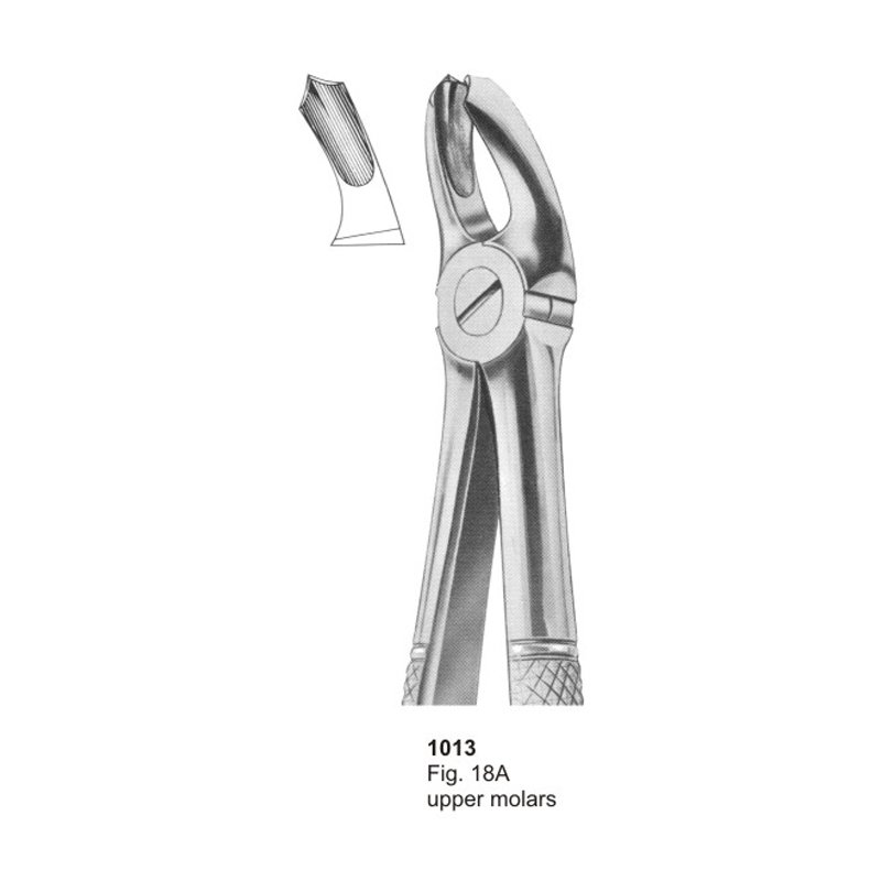 Fig 18A Upper Molars Dental Extracting Forcep