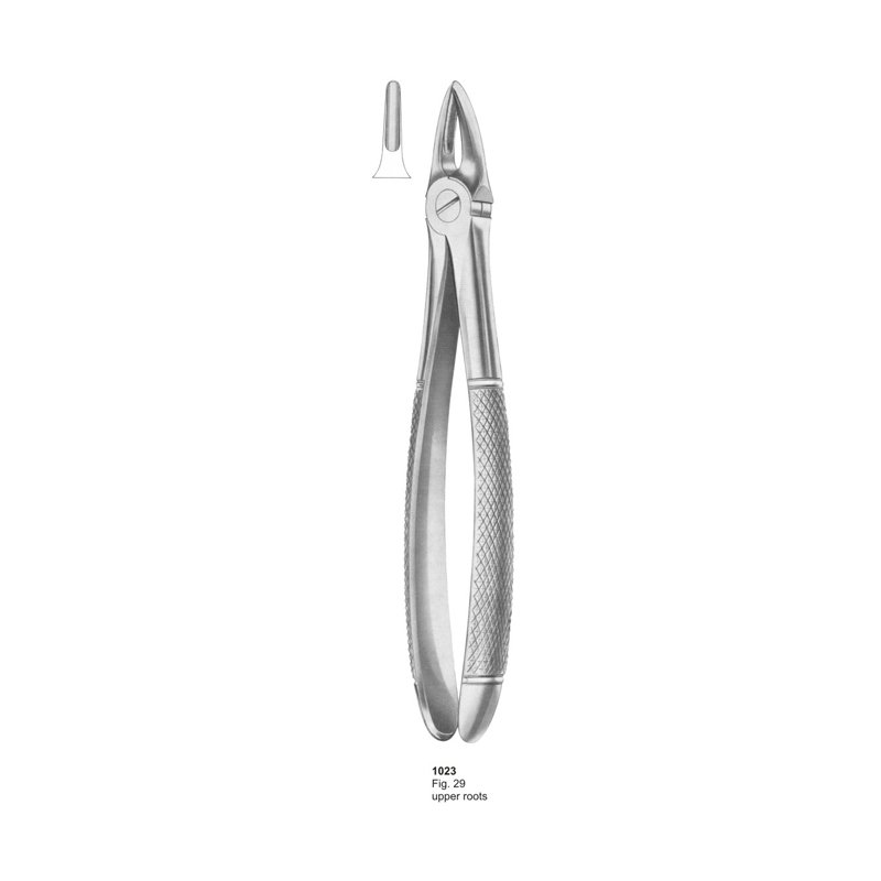 Fig 29 Upper Roots Dental Extracting Forceps
