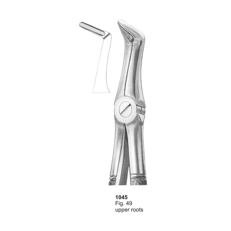Fig 49 Upper Roots Dental Extraction Forcep