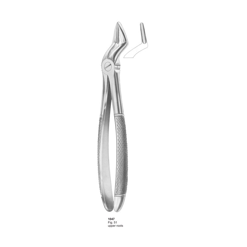 Fig 51 Upper Roots Dental Extraction Forceps