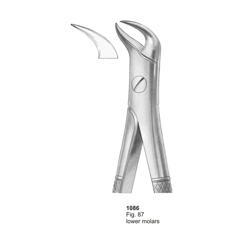 Fig 87 Lower Molars Dental Extracting Forcep
