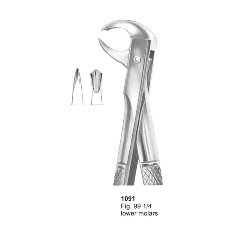 Fig 99 1/4 Lower Molars Dental Extracting Forceps