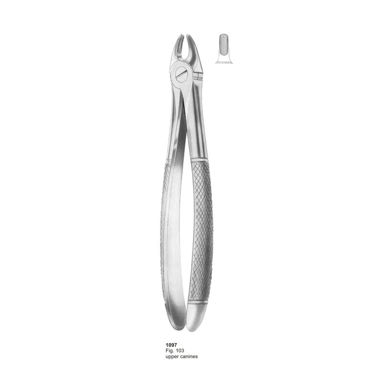 Fig 103 Upper Canines Dental Extraction Forcep