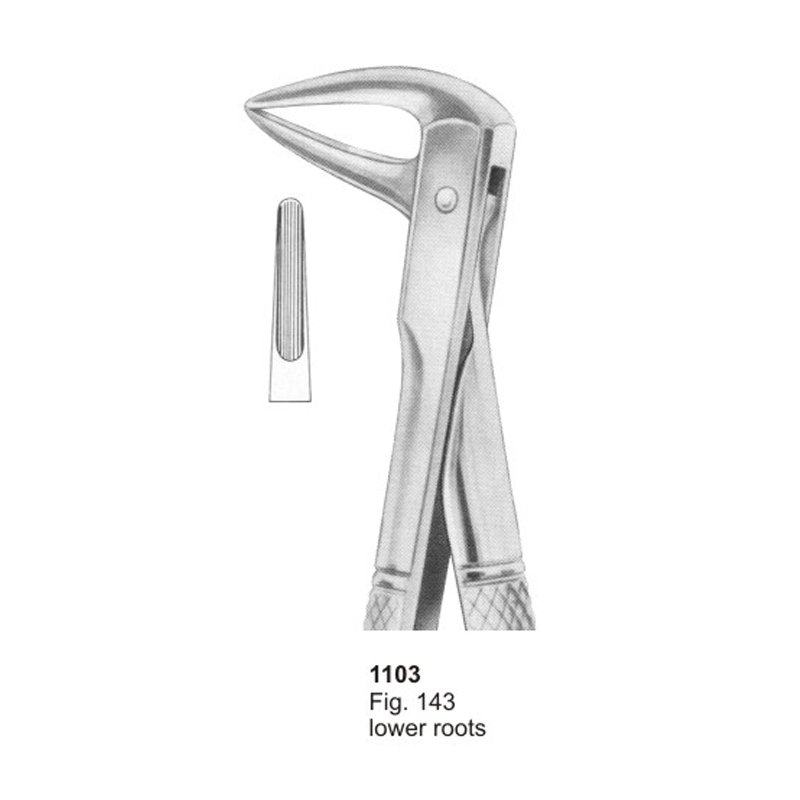 Fig 143 Lower Roots Dental Extraction Forcep
