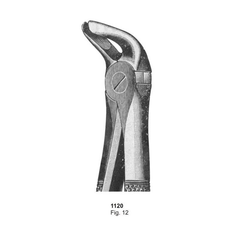 Fig 12 Dental Extracting Forcep