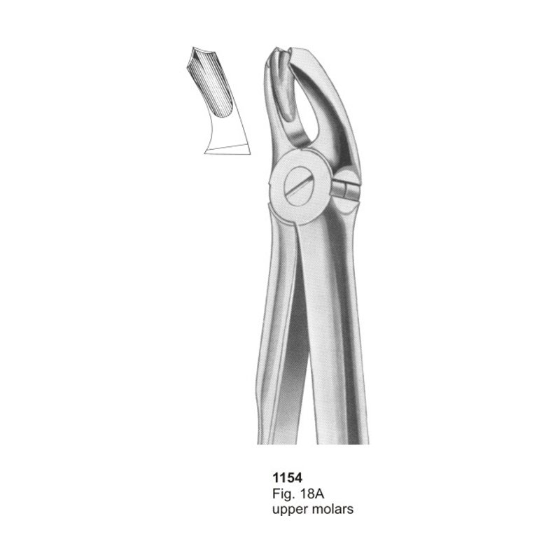 Fig 18A Upper Molars With Fitting Handle Dental Extraction Forcep