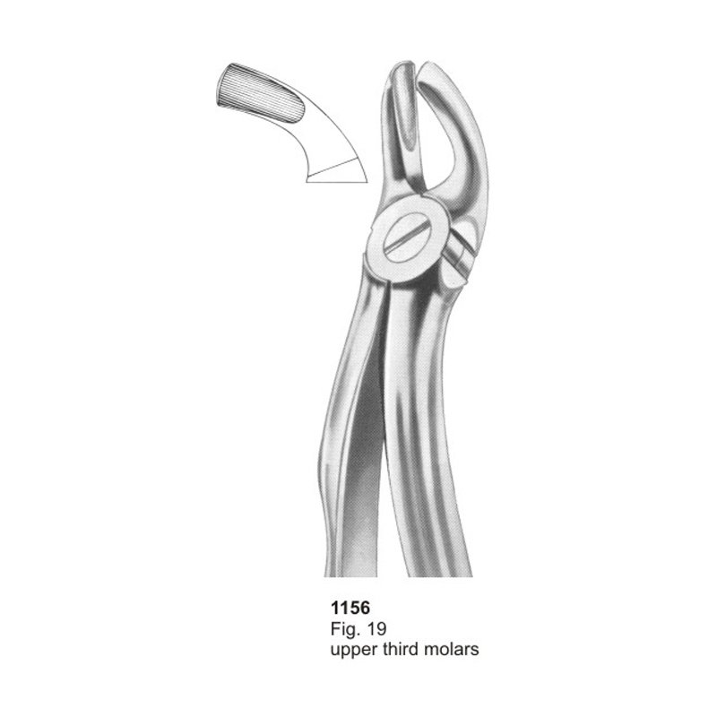 Fig 19 Upper Third Molars With Fitting Handle Dental Extracting Forcep