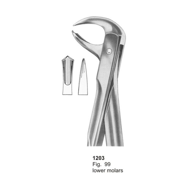 Fig 99 Lower Molars With Fitting Handle Dental Extraction Forcep