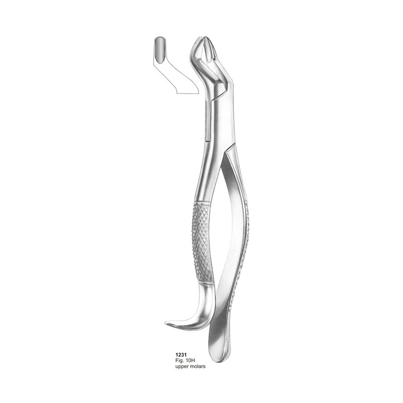 Fig 10H Upper Molars Dental Extraction Forcep