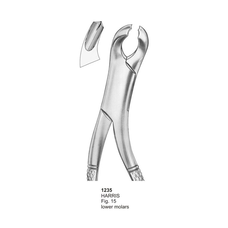 HARRIS Fig 15 Lower Molars Dental Extracting Forceps
