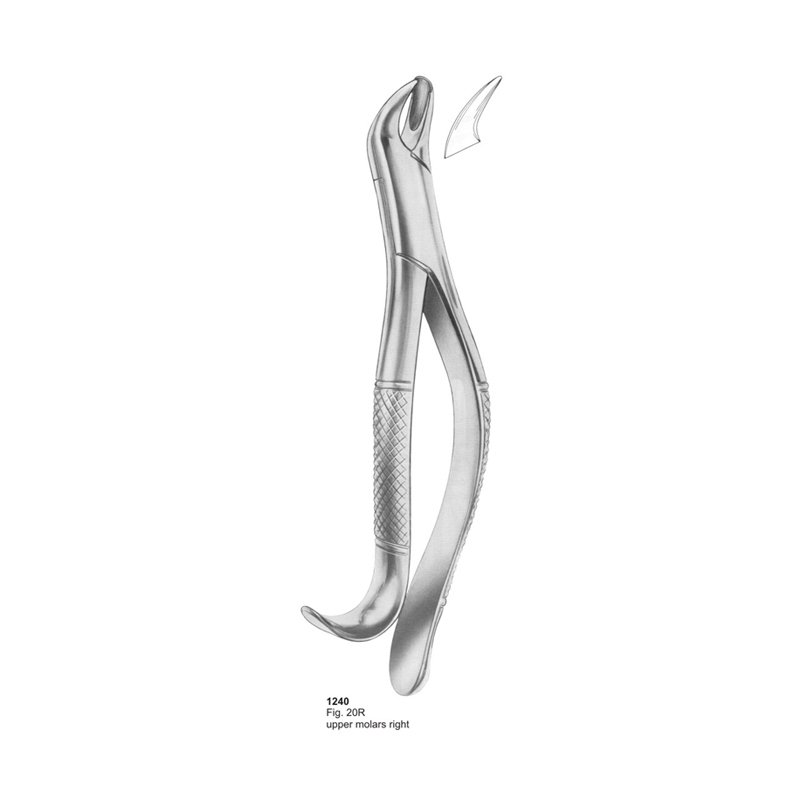 Fig 20R Upper Molars Right Dental Extraction Forcep