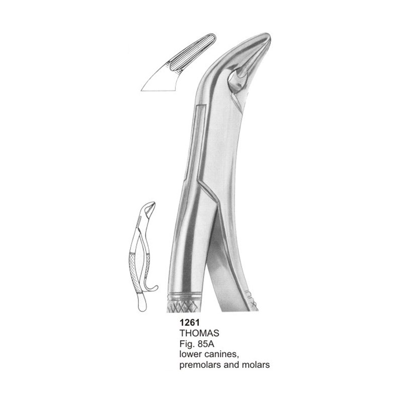 THOMAS Fig 85A Lower Canines Premolars And Molars Dental Extraction Forceps