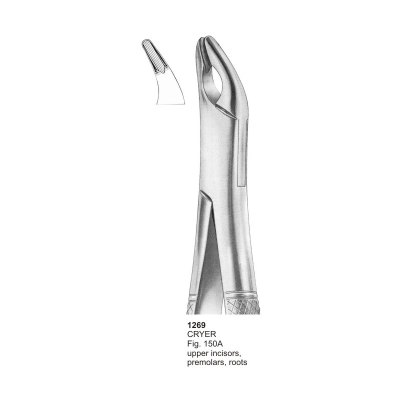 CRYER Fig 150A Upper Incisors Premolars And Roots Dental Extraction Forceps