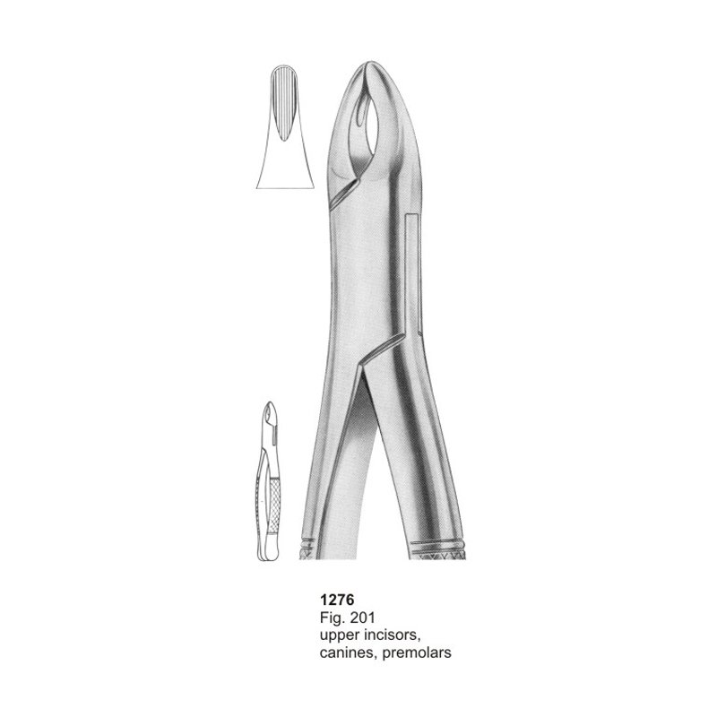 Fig 201 Upper Incisors Canines And Premolars Dental Extraction Forcep