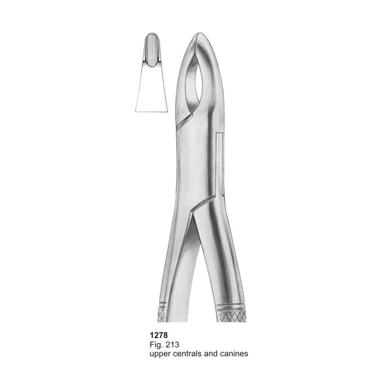 Fig 213 Upper Centrals And Canines Dental Extracting Forceps