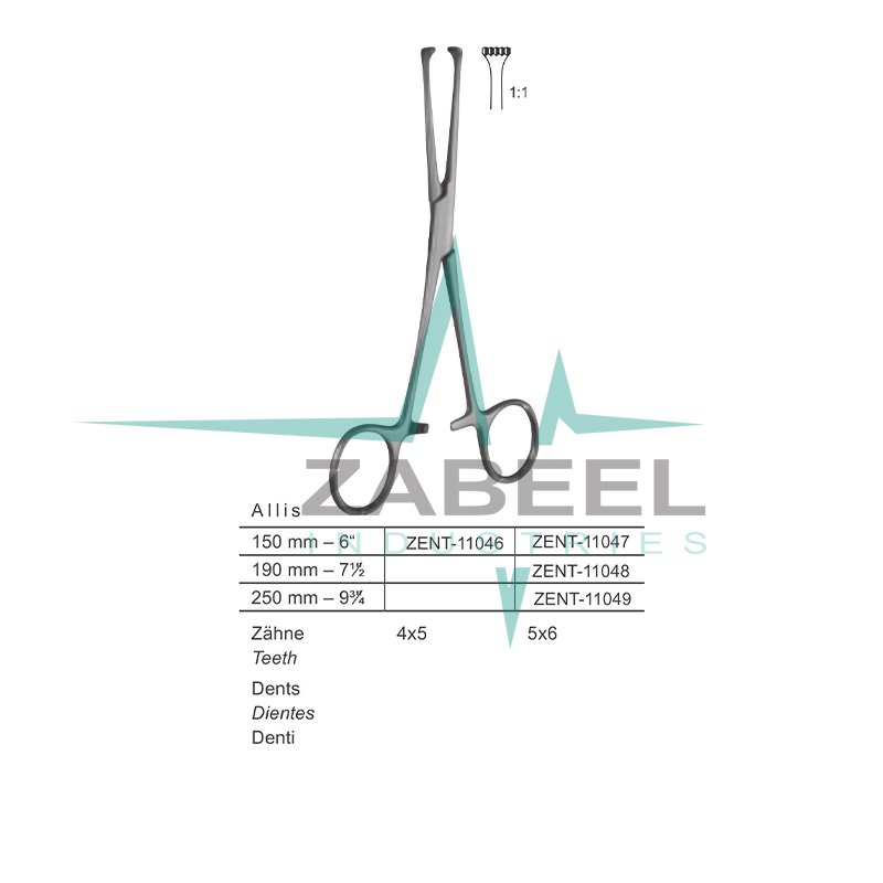 Allis Intestinal Holding Forceps Zabeel