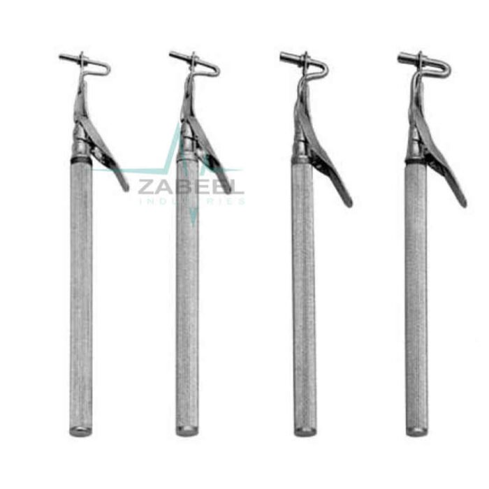 Amal Gam Carvers Zabeel