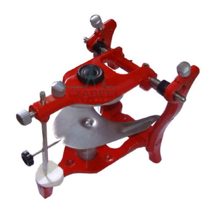 Anatomical Articulator Assorted Color Zabeel