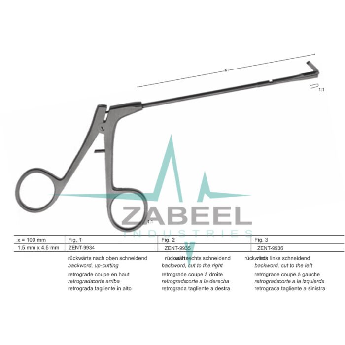 Antrum Punches Zabeel
