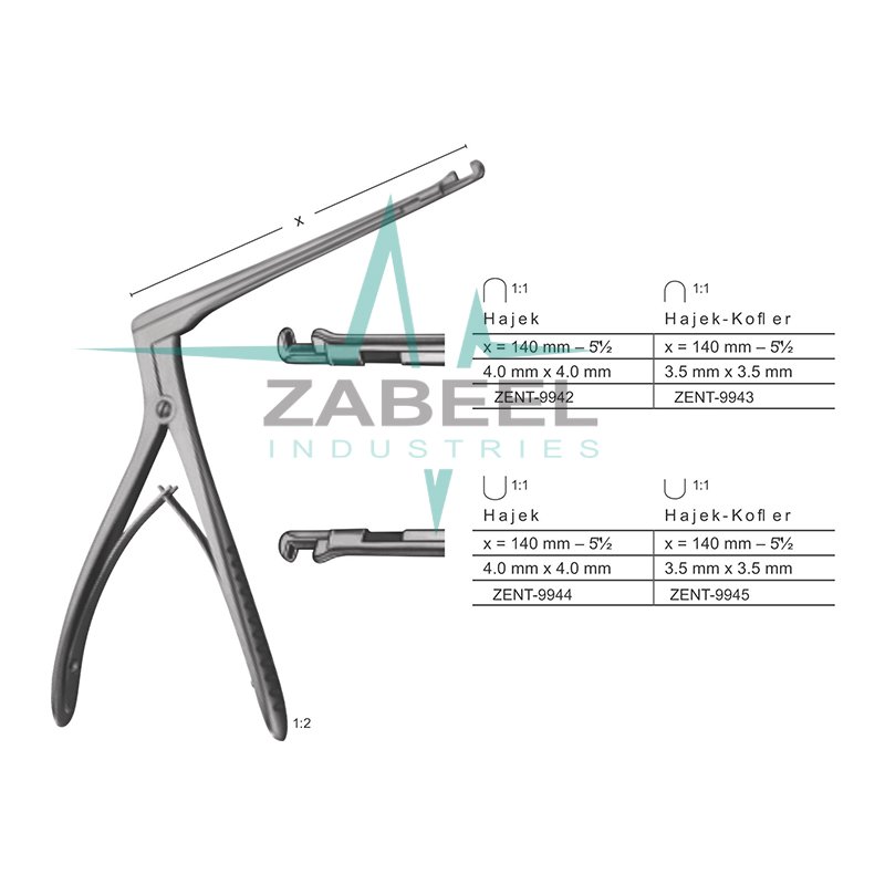Sphenoid Bone Punches Zabeel