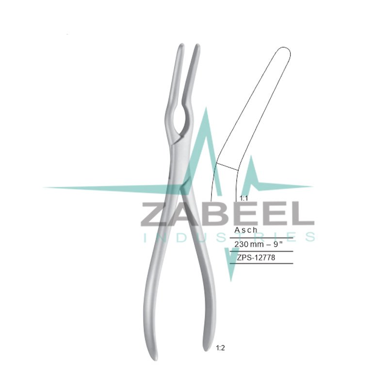 Asch Septum Forceps