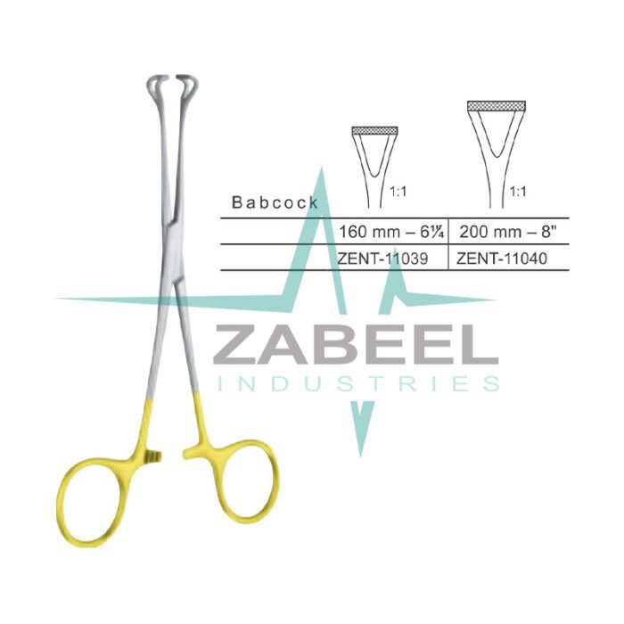 Babcock Intestinal Holding Forceps Zabeel