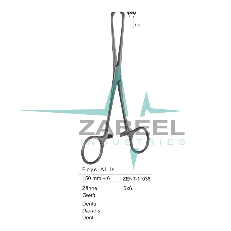 Boys Allis Intestinal Holding Forceps Zabeel