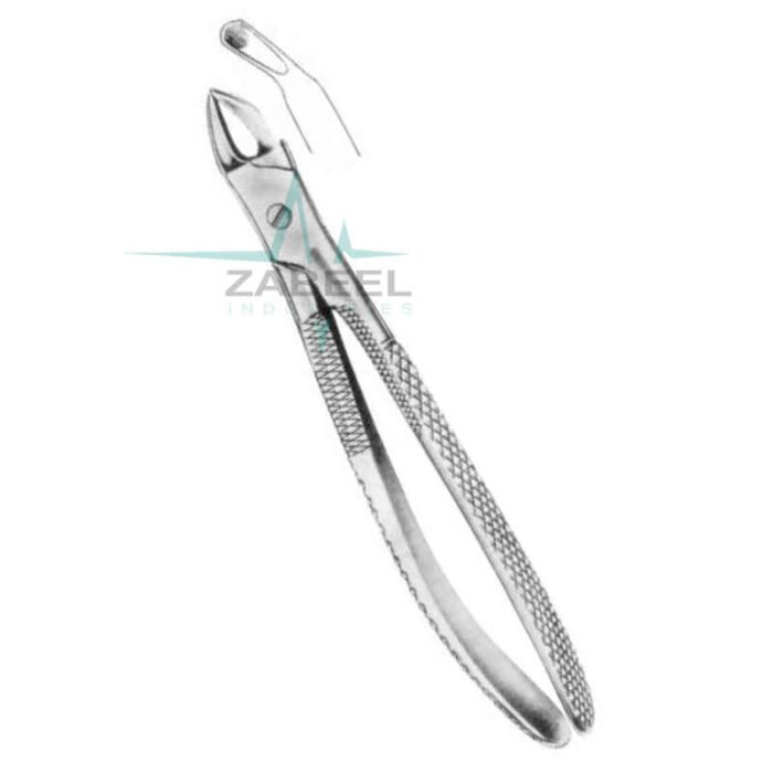 Children’s Lower Molars Universal Forceps Zabeel