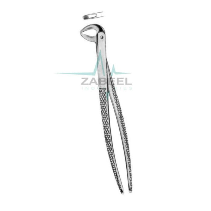 Children’s Lower Teeth Universal Zabeel