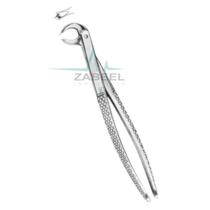 Children’s Upper Lower Universal (Hawk’s Bill) Zabeel