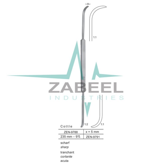 Cottle Septum Elevators Zabeel