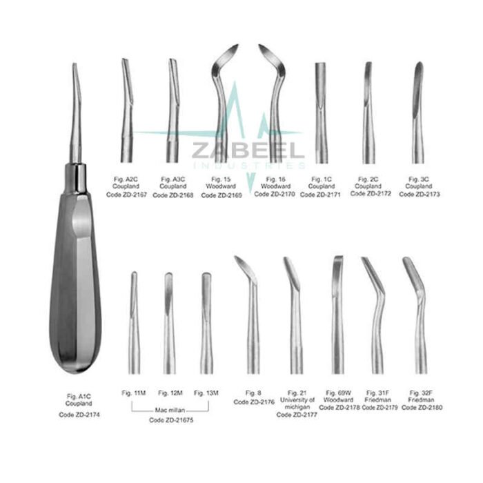 Coupland Root Elevators Zabeel