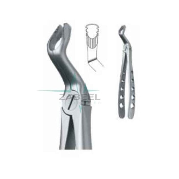 Extracting Forceps Zabeel