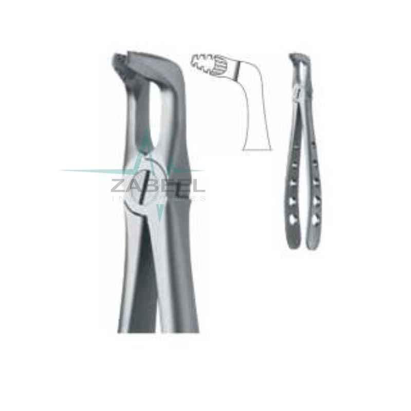 Extracting Forceps Zabeel