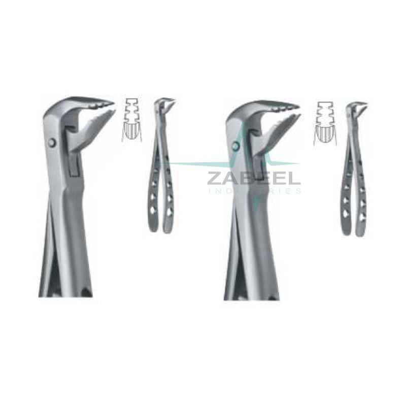 Extracting Forceps Zabeel