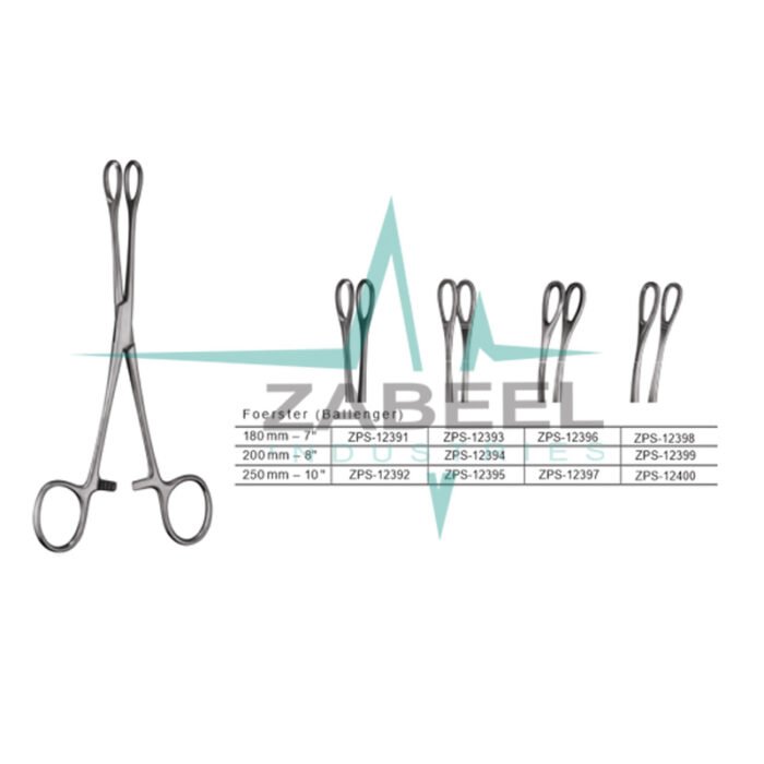 Foerster ( Ballenger )