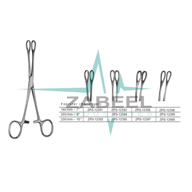 Foerster ( Ballenger )