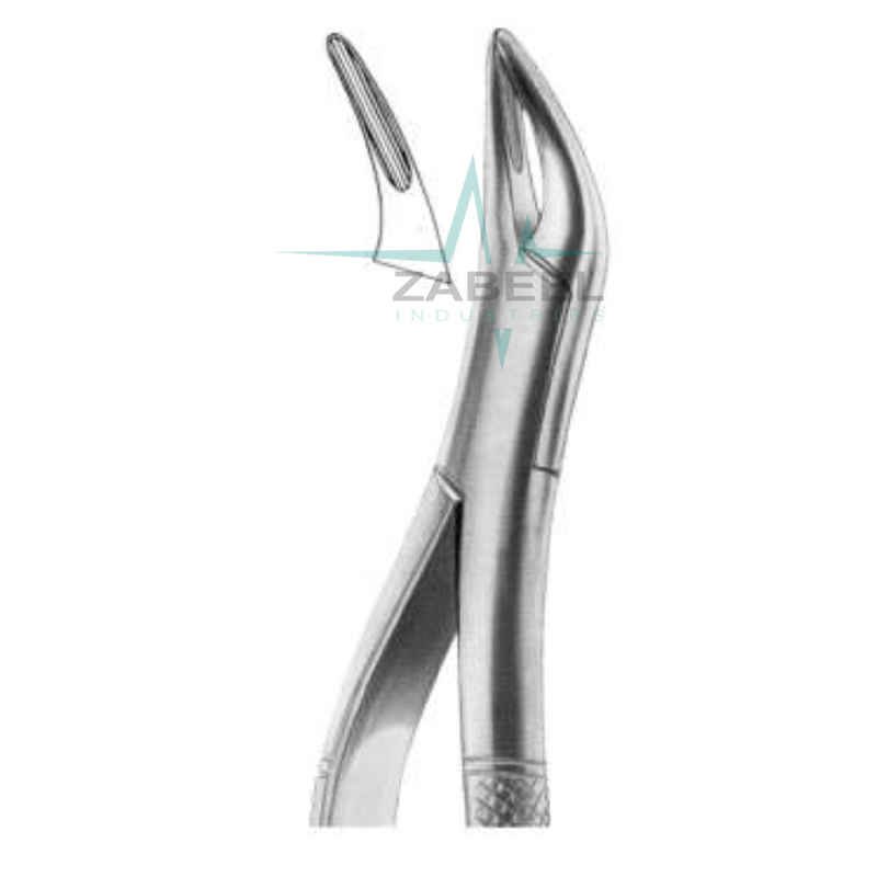 Fragments & Small Roots Upper & Lower Zabeel