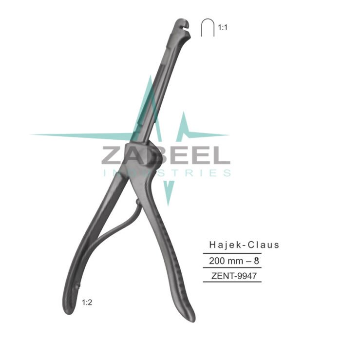 Hajek - Claus Punches Zabeel