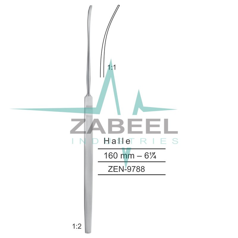 Halle Septum Elevators Zabeel