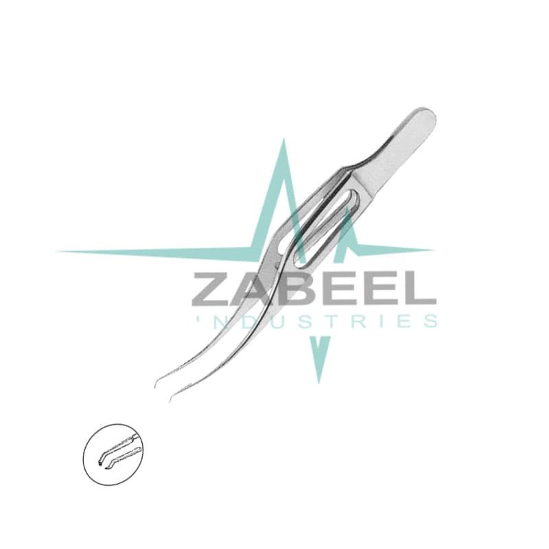 Harms-Colibri Forceps ZaBeel