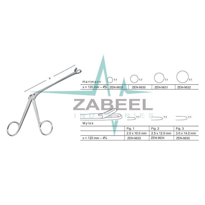 Hartmann Nasal Cutting Forceps Zabeel
