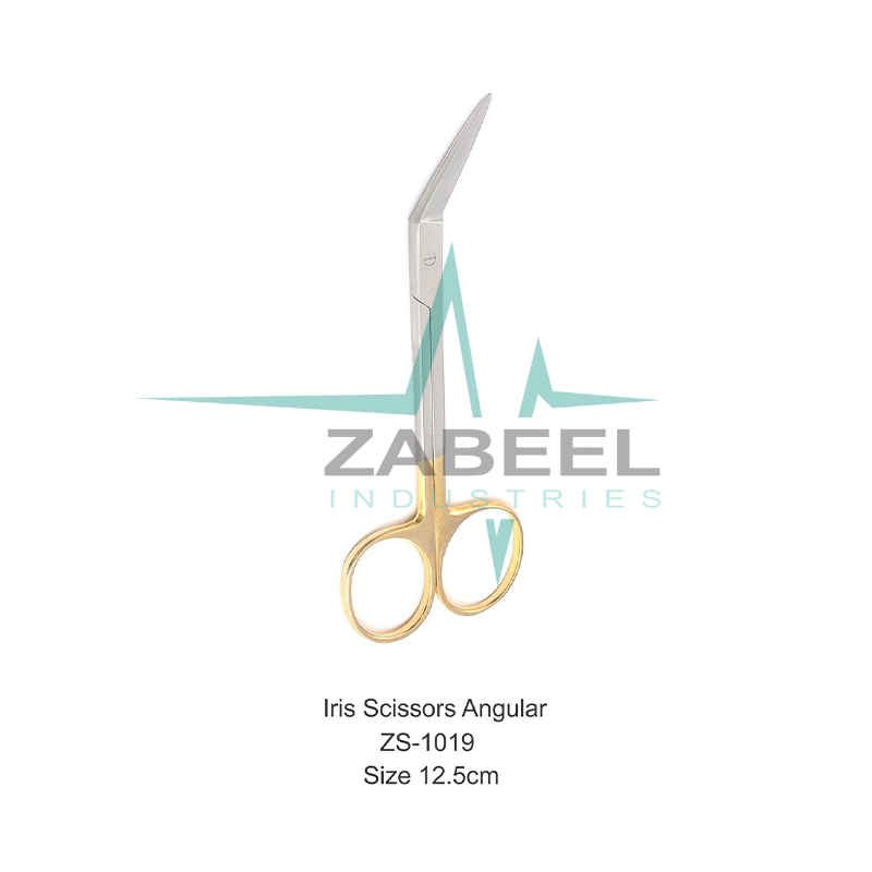 Iris Scissors Angular Zabeel
