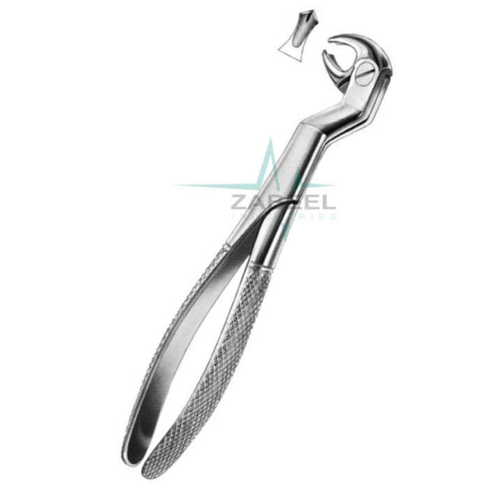 Left Lower Wisdoms & Molars Zabeel