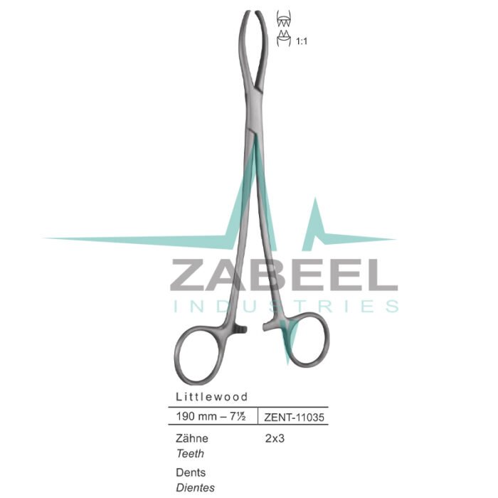 Littlewood Tissue Forceps Zabeel