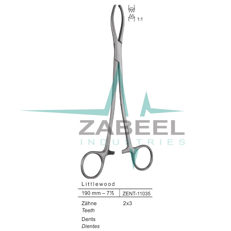 Littlewood Tissue Forceps Zabeel