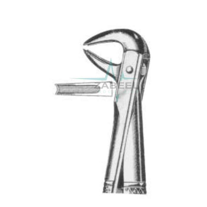 Lower Canines & Premolars Zabeel