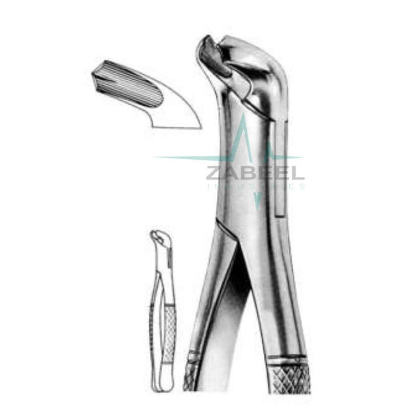 Lower Molars Forceps Zabeel